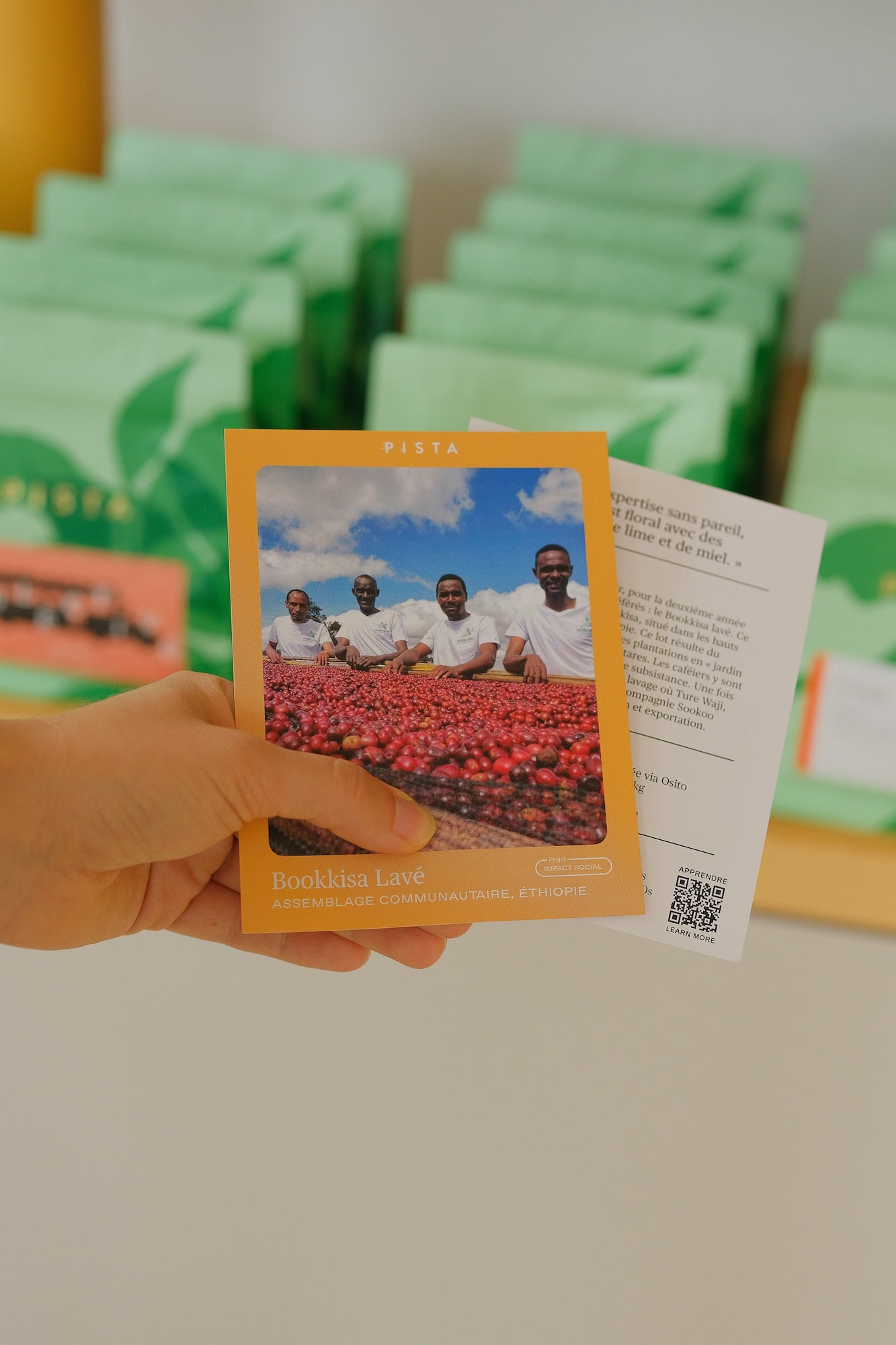 Fiches de transparence