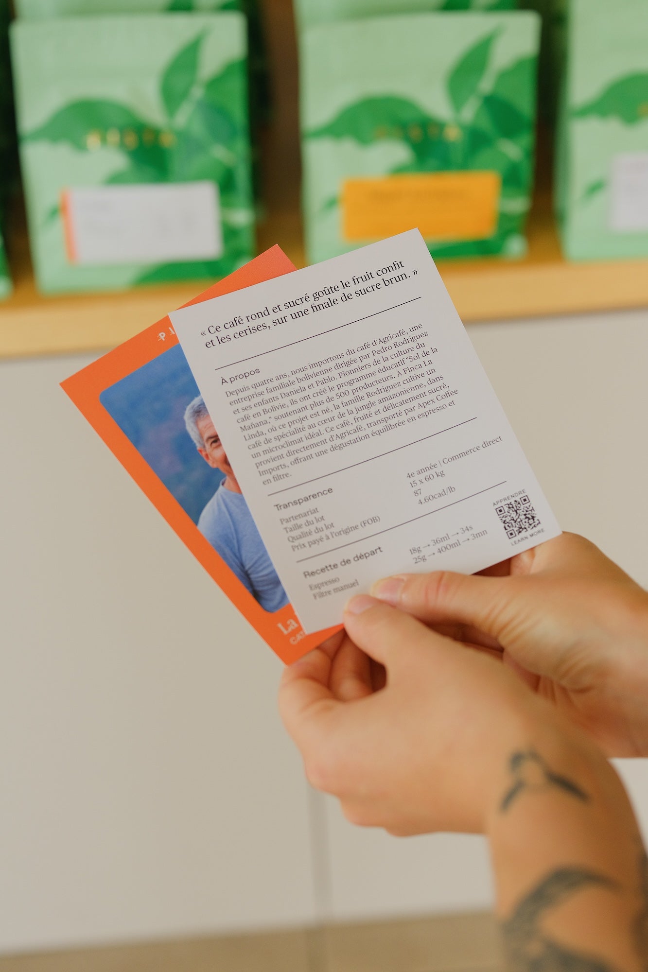 Fiches de transparence