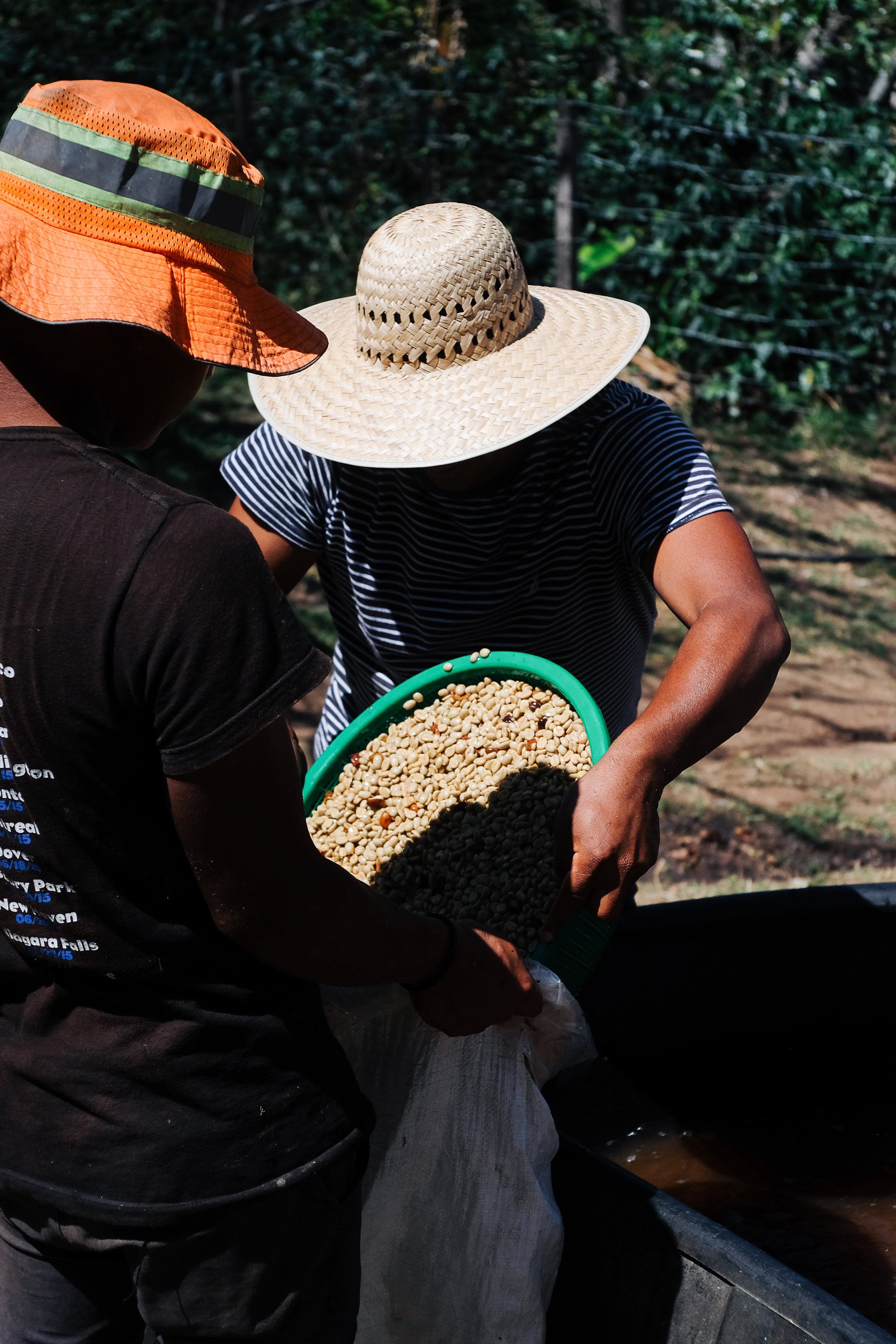 Décaf - Colis Resistencia