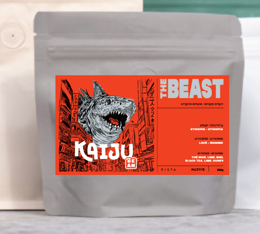 EA MOTIVE - Bookkisa Lavé