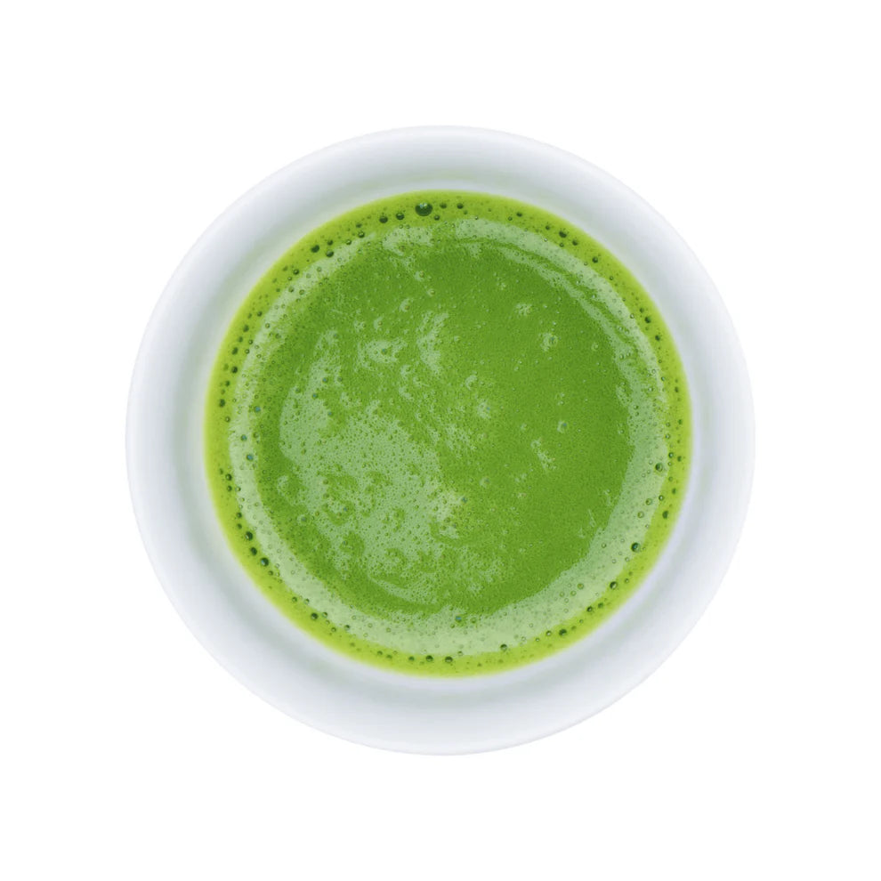 Katō Matcha – Récolte de printemps