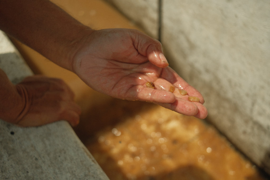 Finca La Hermosa - Sidra