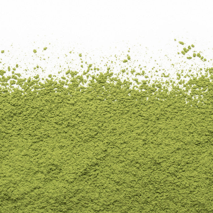 Camellia Sinensis - Matcha Yume Bio