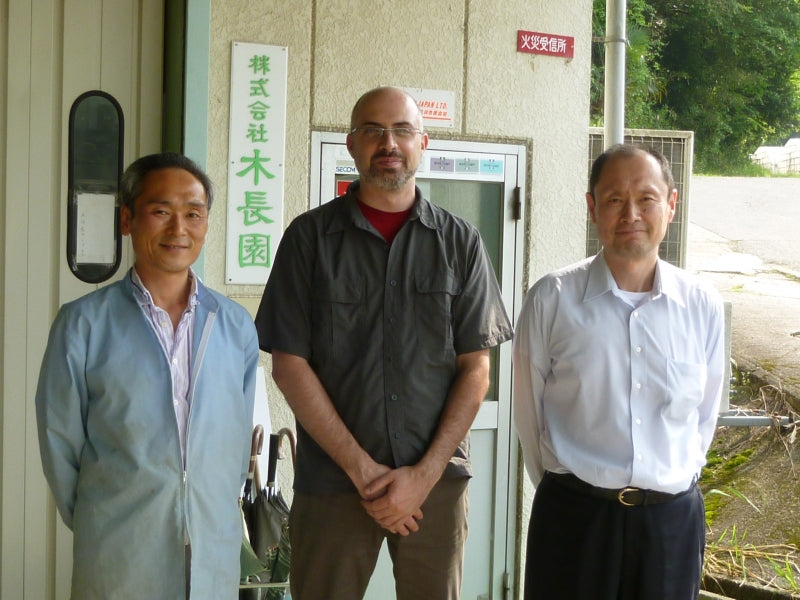 Camellia Sinensis - Matcha Uji