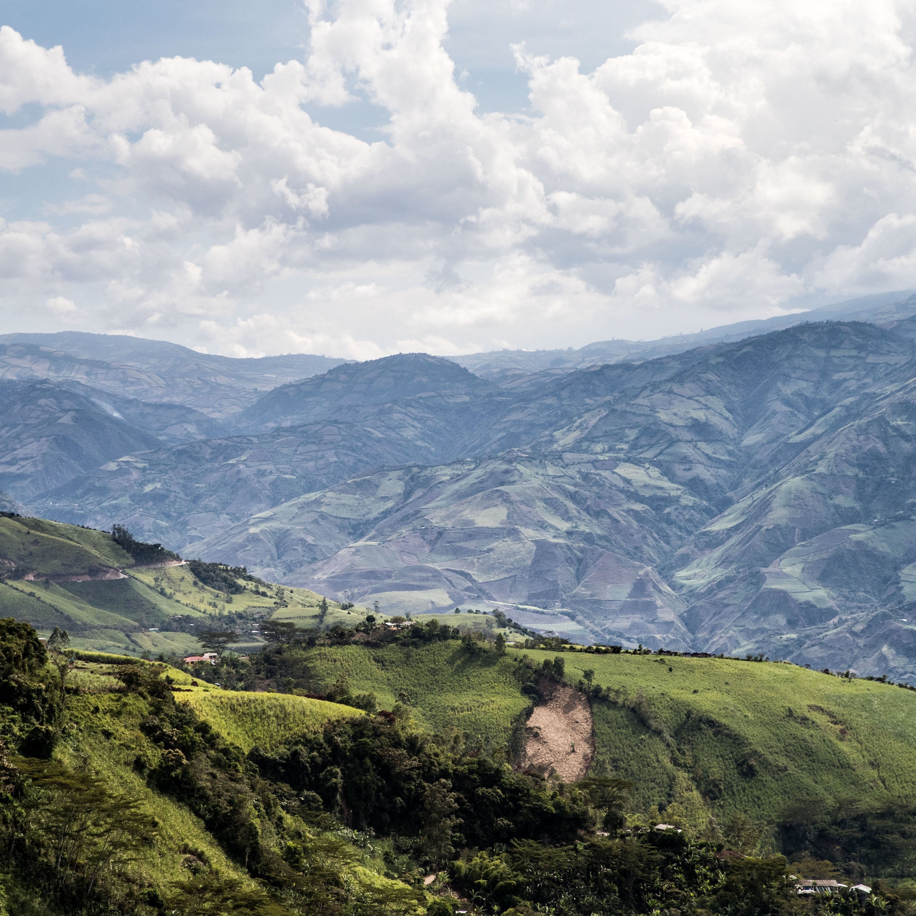 El Naranjo - Colombie