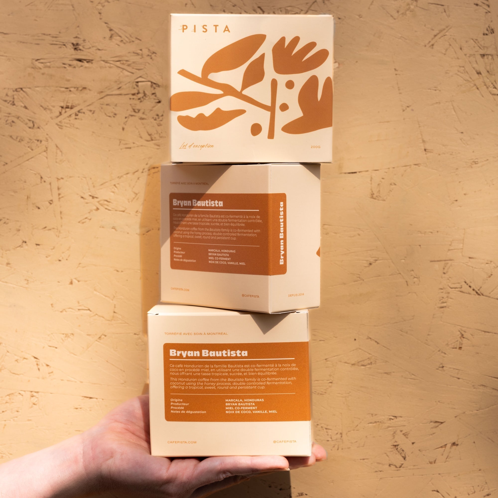 Bryan Bautista - Cofermentation Noix de coco