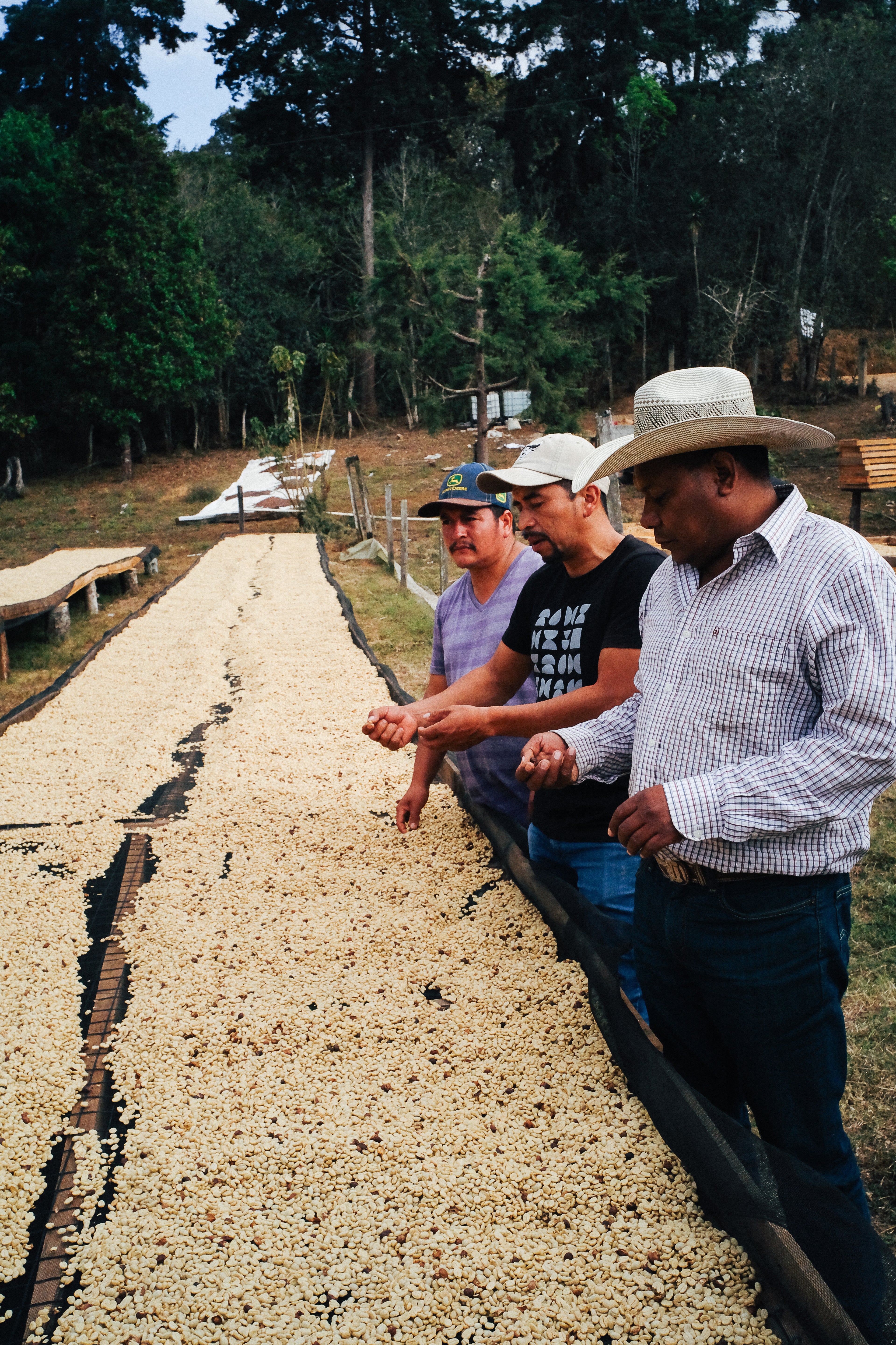 Décaf - Colis Resistencia