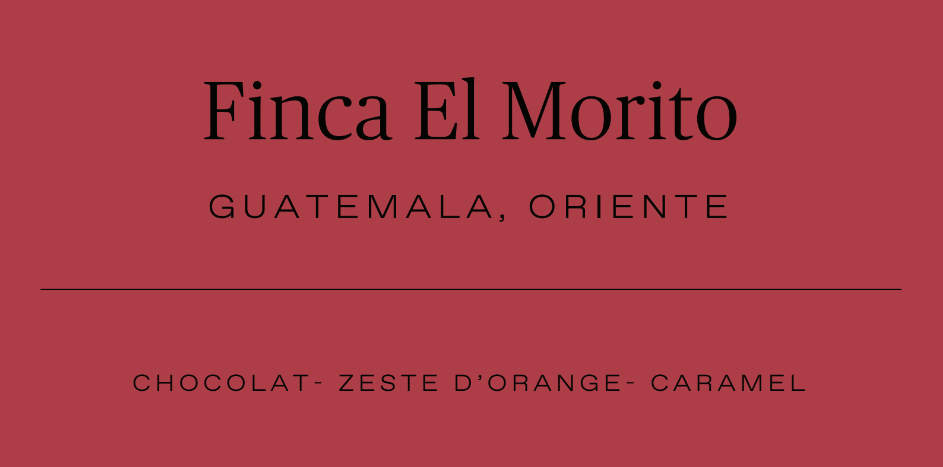 Seau réutilisable Classique