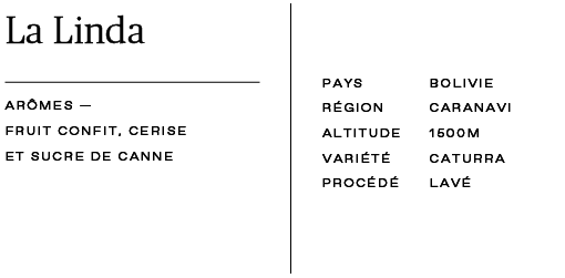 Seau réutilisable Découverte