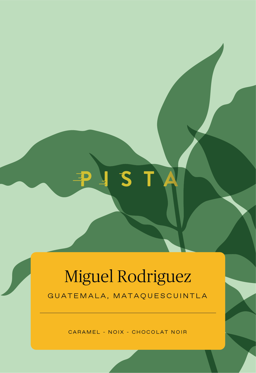 Seau réutilisable Découverte