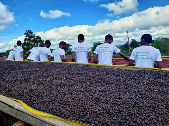 Bookkisa Naturel - Éthiopie