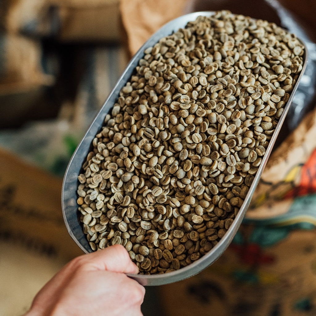 Boîte d'échantillons (6 x 100g)