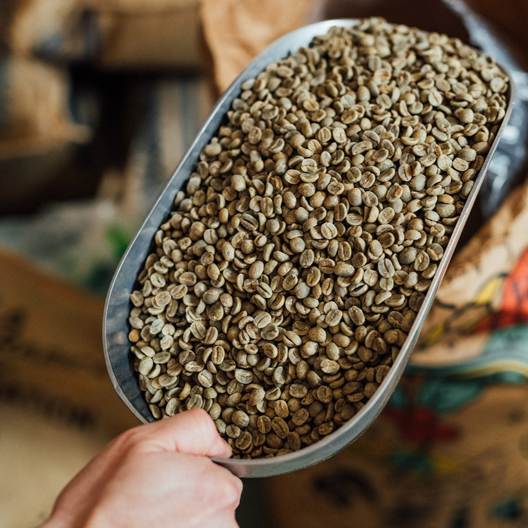 Boîte d'échantillons (6 x 100g)