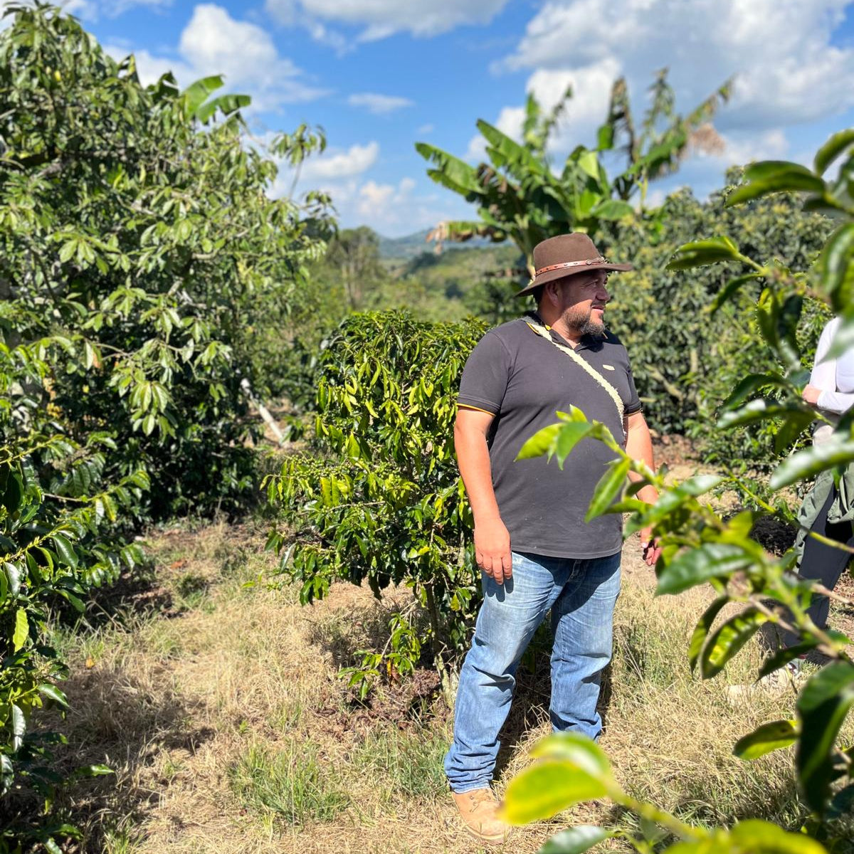 Colectivo - Daniel Muñoz - Gesha