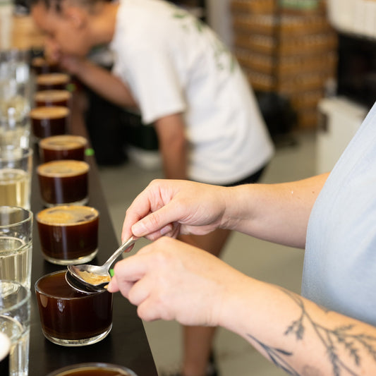 Café Pista Workshops for Offices – Teambuilding & Coffee Experience