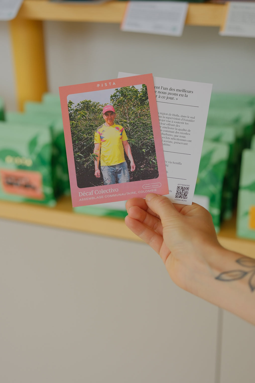 Fiches de transparence