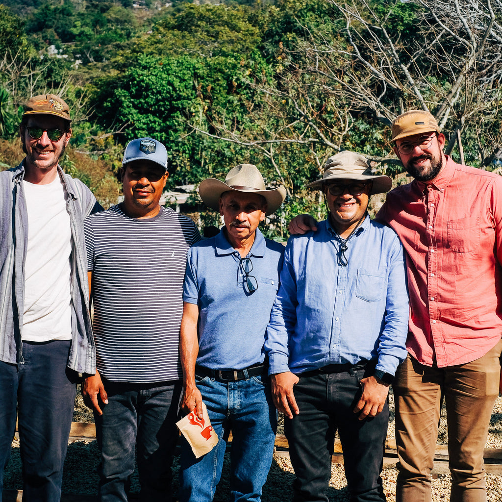 Décaf - Colis Resistencia