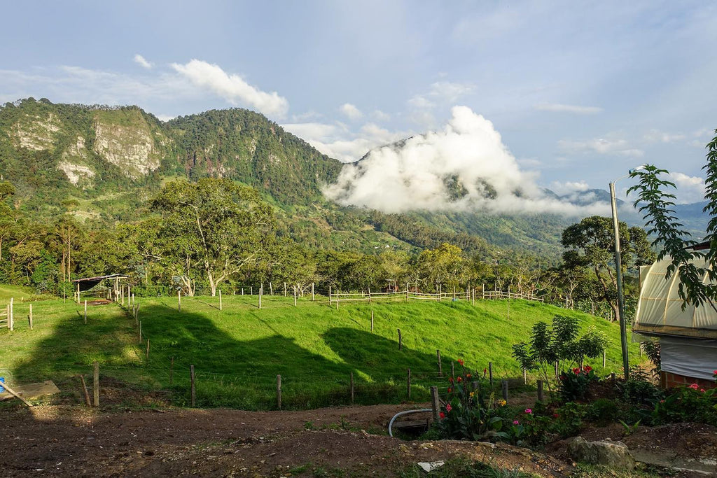Espirito Santo - Brésil