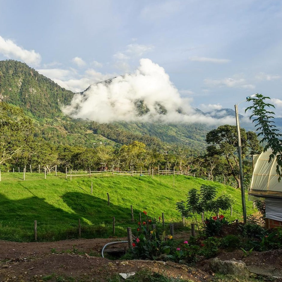 Geraldo Casagrande, Brésil, Brasil coffee, Espirito Santo, Café Pista, caramel, chocolat, biscuit, torréfacteur local à Montréal, fair trade, ethical, third wave