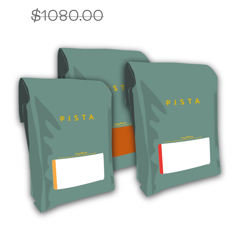 Abonnement Découverte PRE-PAYÉ 6mois